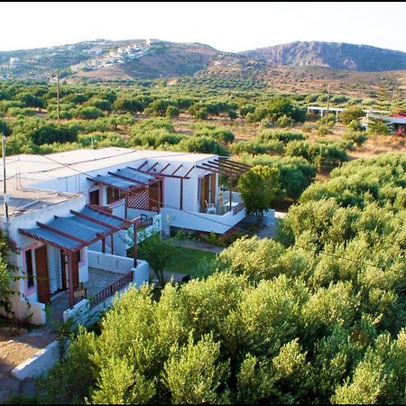 Appartement Voula'S Casa Di Mare à Palekastro Extérieur photo