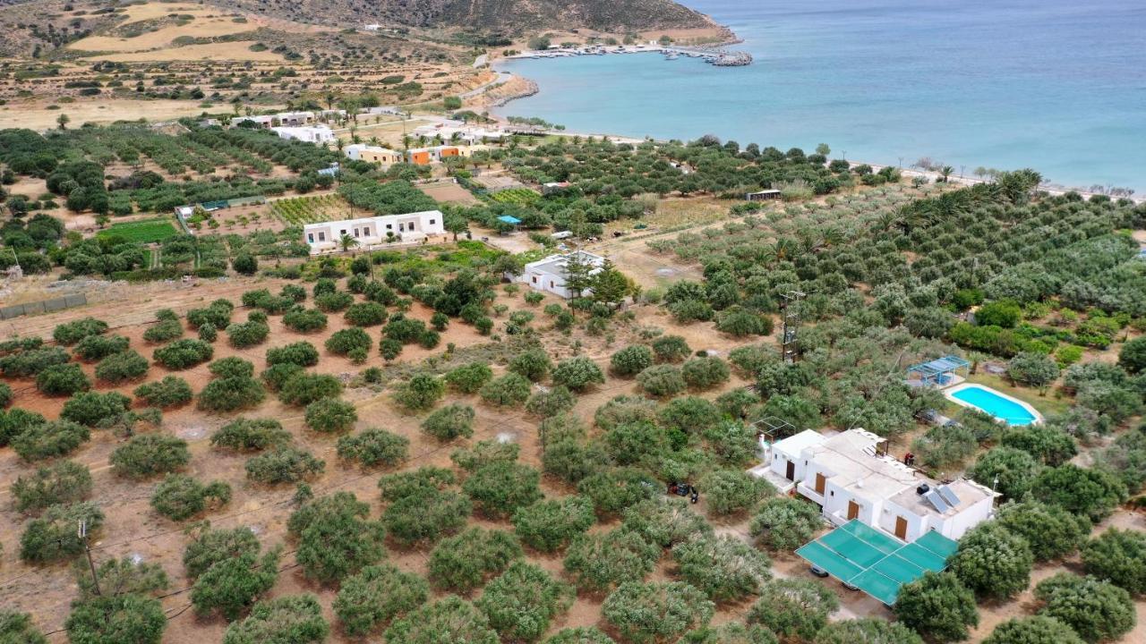 Appartement Voula'S Casa Di Mare à Palekastro Extérieur photo